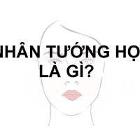 Nhân tướng học là gì? Tìm hiểu về nhân tướng học trong phong thủy