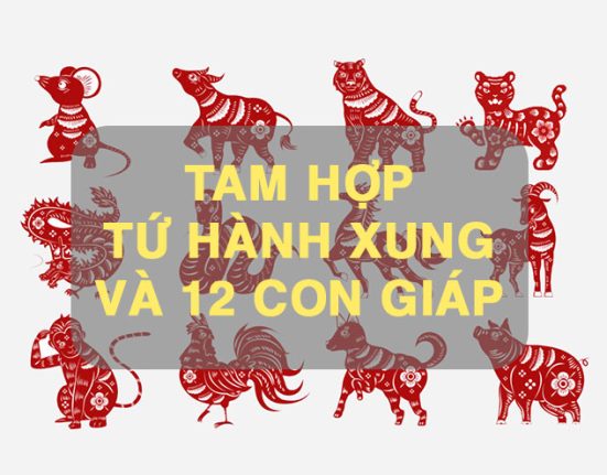 Tìm hiểu về tam hợp, tứ hành xung trong 12 con giáp