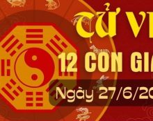 Tử vi 12 con giáp hôm nay ngày 27/6/2024