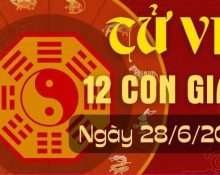 Tử vi 12 con giáp hôm nay ngày 28/6/2024