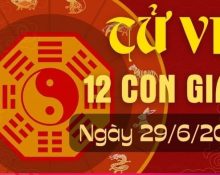 Tử vi 12 con giáp hôm nay ngày 29/6/2024