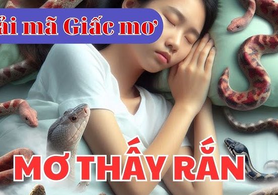 Mơ thấy rắn có nghĩa gì? Giải mã giấc mơ thấy rắn là điềm gì