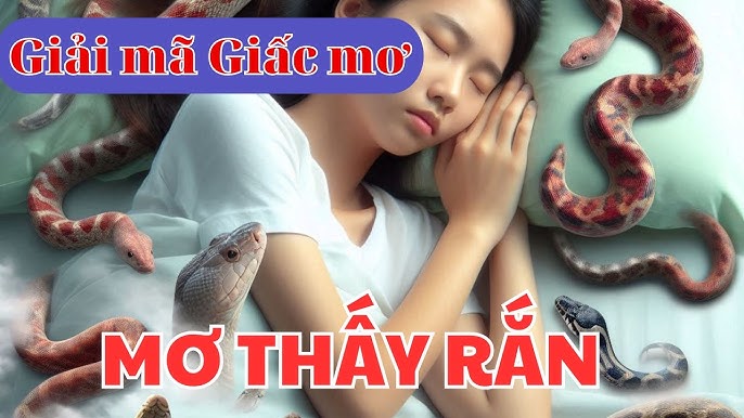 Mơ thấy rắn có nghĩa gì? Giải mã giấc mơ thấy rắn là điềm gì