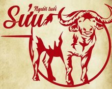 Tuổi Sửu sinh năm mấy? Hợp với tuổi nào và màu gì?