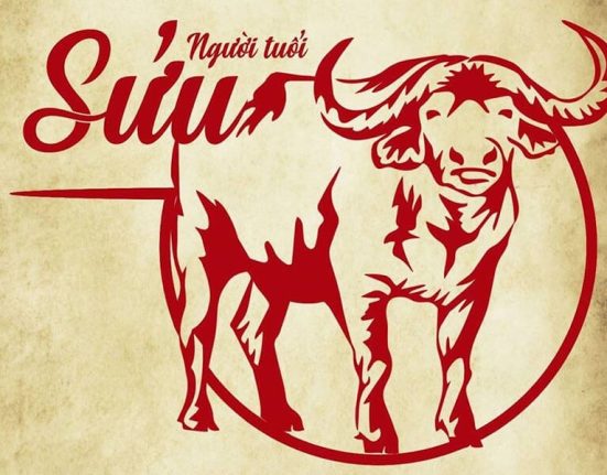 Tuổi Sửu sinh năm mấy? Hợp với tuổi nào và màu gì?