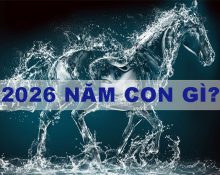 2026 la nam con gi