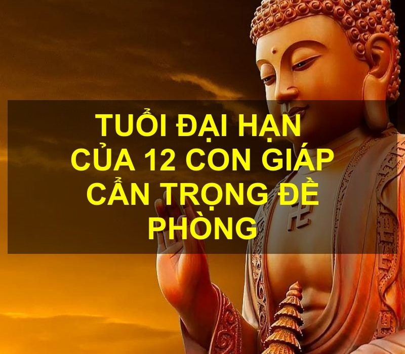dai han 12 con giap