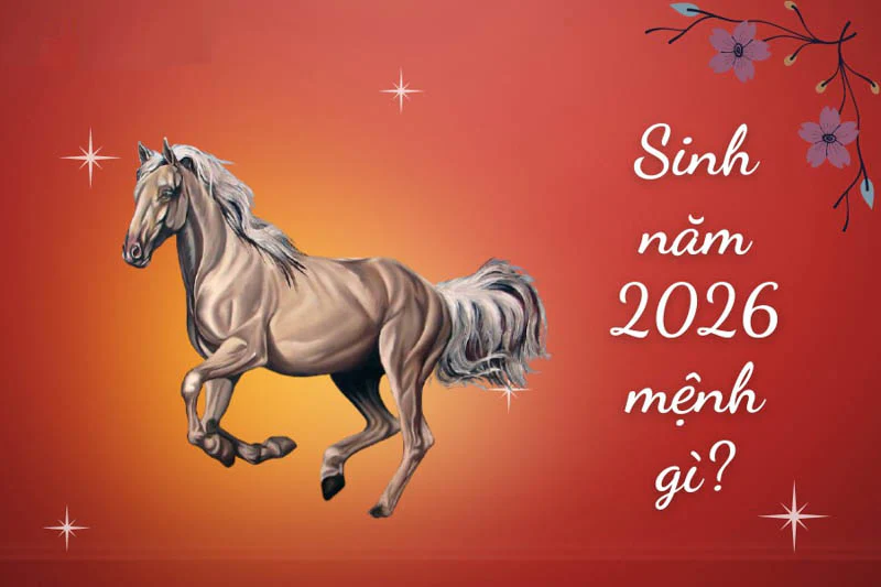 Năm 2026 là năm con gì, mệnh gì và hợp với tuổi nào? 6 nam 2026 menh gi