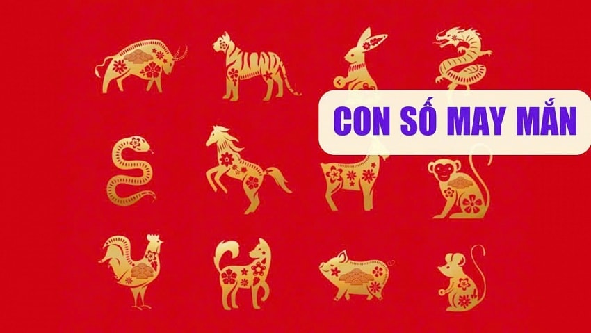 Tổng hợp những con số may mắn trong phong thủy 7 so may man 12 con giap
