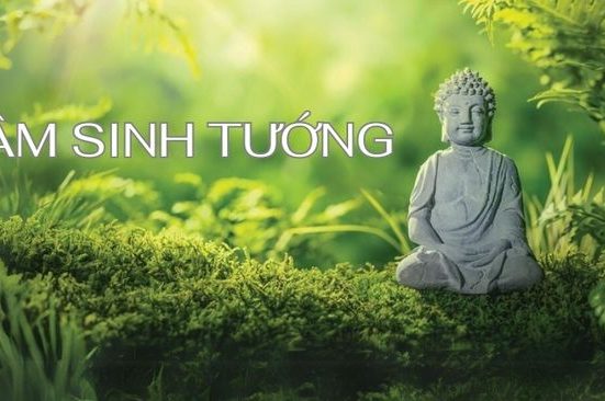 tam sinh tuong