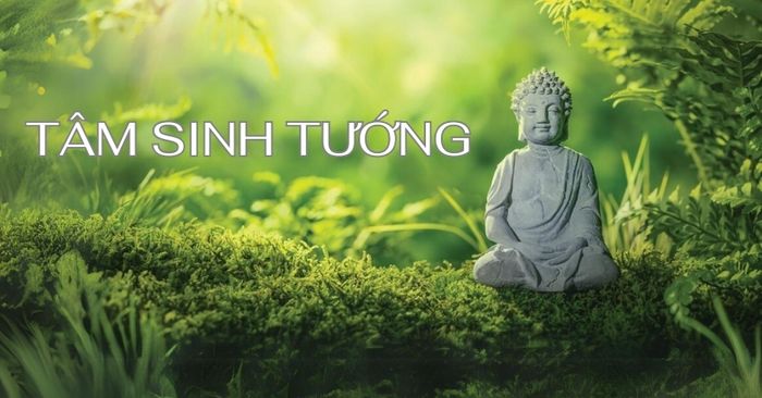 tam sinh tuong