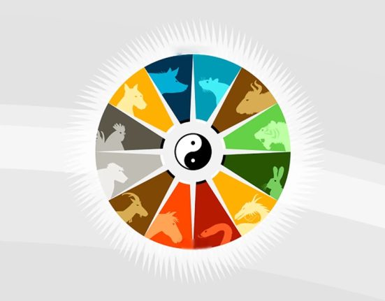 Cách tính ngày, tháng theo 12 con giáp chi tiết, dễ hiểu nhất 17 Cách tính ngày tháng theo 12 con giáp chi tiết dễ hiểu nhất