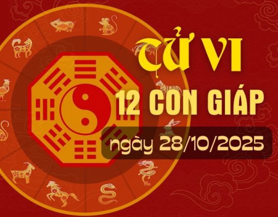 Tử vi 12 con giáp ngày 28/10/2025: Dậu có tài lộc, Hợi bị phân tâm 10 Tử vi 12 con giáp ngày 28/10/2025
