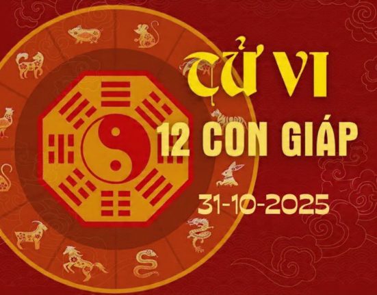 Tử vi 12 con giáp ngày 31/10/2025: Mão có tài lộc, Thìn bị tiểu nhân quấy phá 26 Tử vi 12 con giáp ngày 31/10/2025