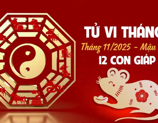 Tổng quan tử vi 12 con giáp tháng 11 năm 2025