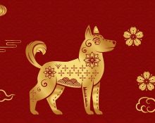 Tuổi Tuất sinh năm mấy? Hợp với tuổi nào và màu gì?