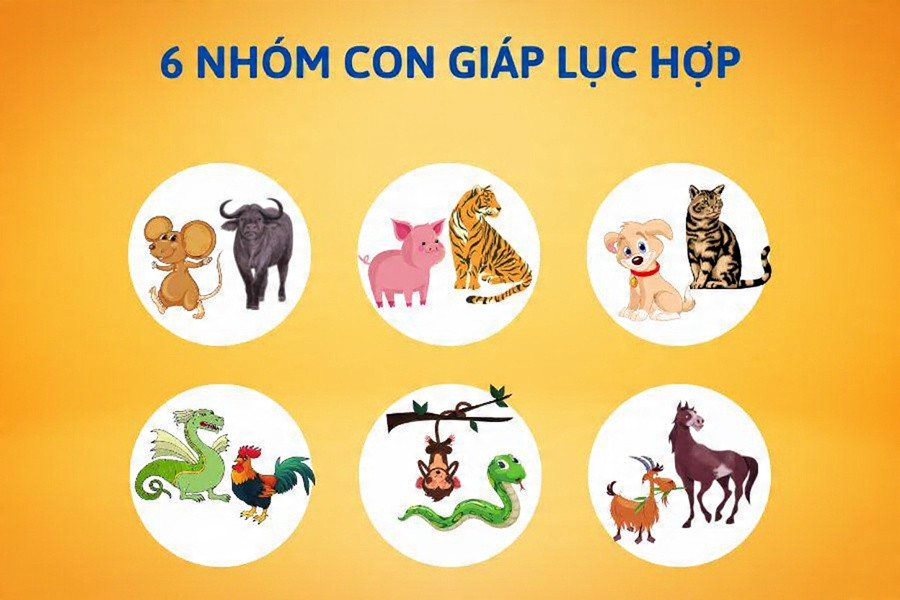 Lục Hợp là gì? Ý nghĩa và ứng dụng bảng Lục Hợp 12 con giáp 7 6 nhom luc hop
