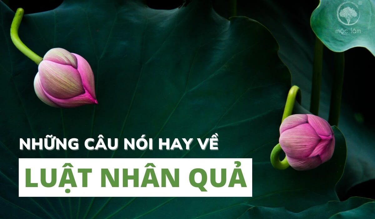 Những câu nói hay về luật nhân quả