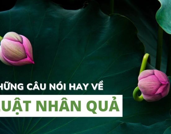 Những câu nói hay về luật nhân quả