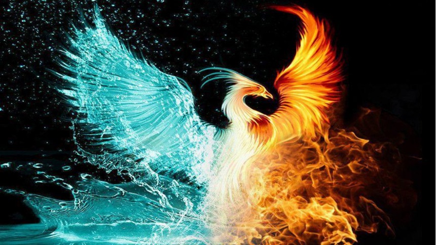 Ý nghĩa của tứ linh Long Ly Quy Phụng trong phong thủy 11 chim phuong hoang