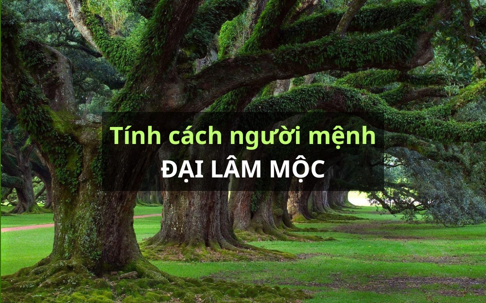 dai lam moc 2