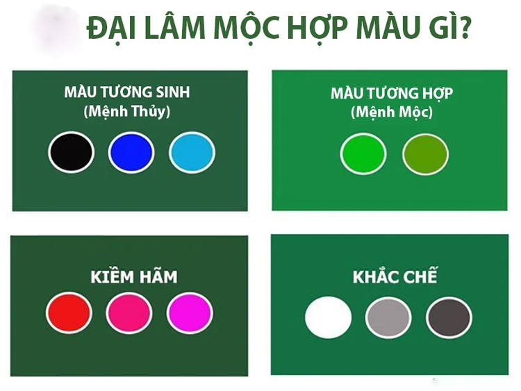 Màu hợp, màu kỵ với Đại Lâm Mộc