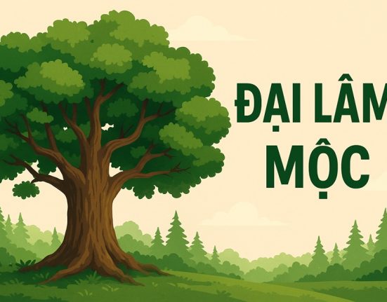 Đại Lâm Mộc: Tổng quan tử vi phong thủy Mệnh Đại Lâm Mộc