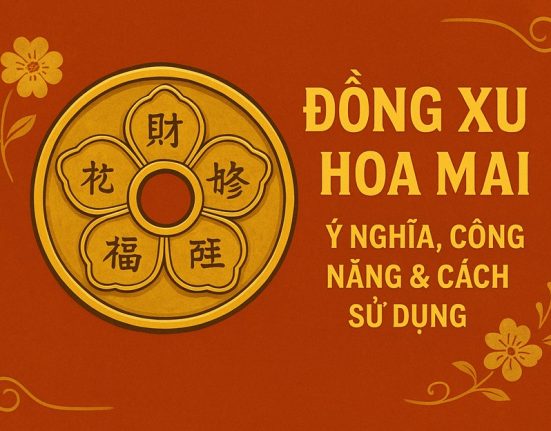 dong xu hoa mai thumb