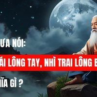 Nhất gái lông tay nhì trai lông bụng có nghĩa gì?