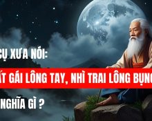 Nhất gái lông tay nhì trai lông bụng có nghĩa gì?