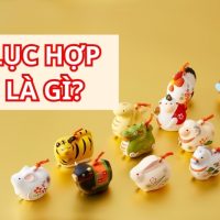 Lục hợp là gì?