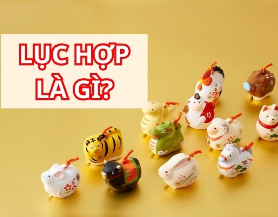Lục hợp là gì?