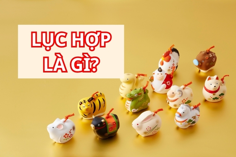 Lục hợp là gì?