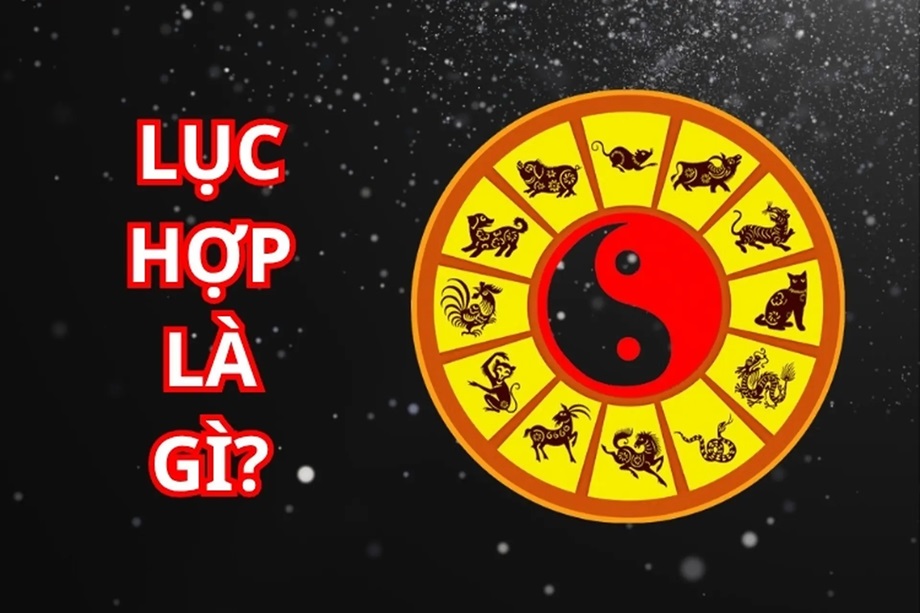 Lục Hợp là gì? Ý nghĩa và ứng dụng bảng Lục Hợp 12 con giáp 5 luc hop la gi