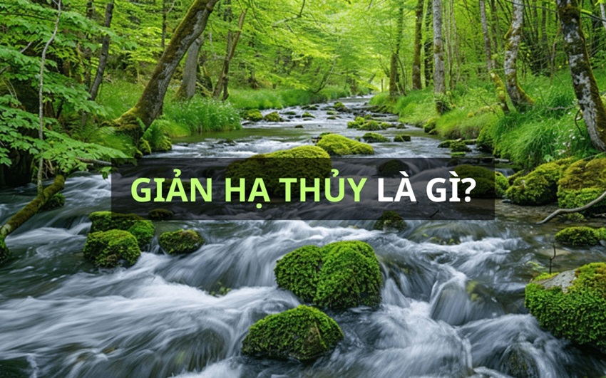 Giản Hạ Thủy: Tổng quan tử vi phong thủy Mệnh Giản Hạ Thủy 6 menh gian ha thuy la gi