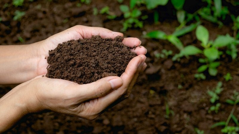 Lộ Bàng Thổ: Tổng quan phong thủy Mệnh Lộ Bàng Thổ 6 menh lo bang tho