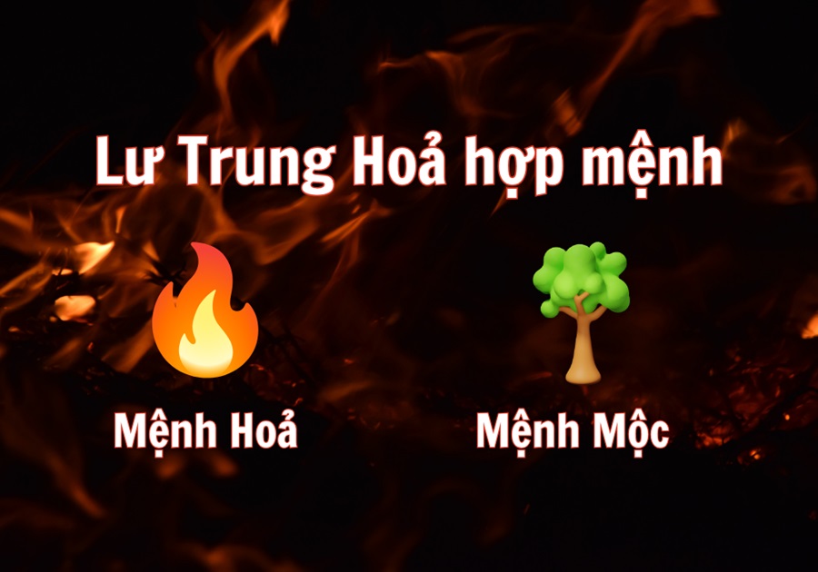 menh lu trung hoa 3