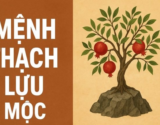 Thạch Lựu Mộc: Tổng quan tử vi phong thủy Mệnh Thạch Lựu Mộc