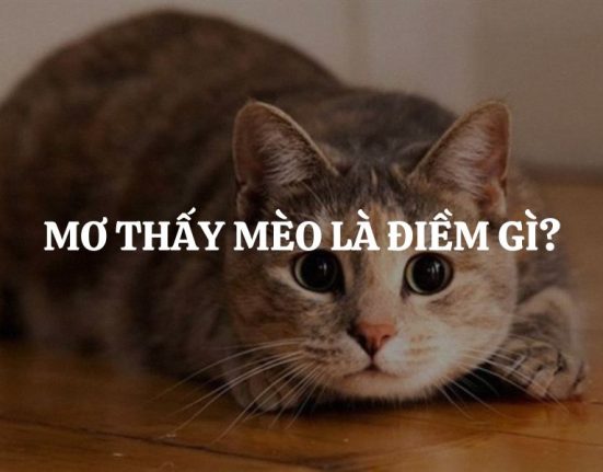 mo thay meo la diem gi