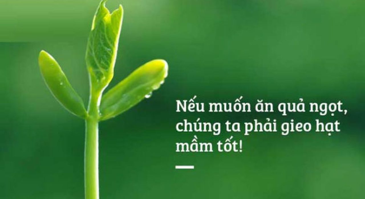 Nghiệp báo là gì?