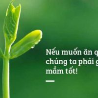 Nghiệp báo là gì?