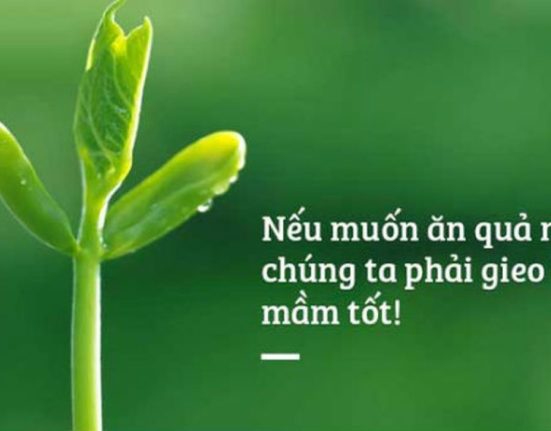 Nghiệp báo là gì?