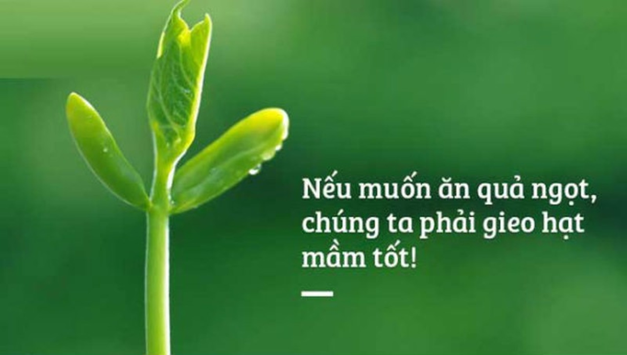 Nghiệp báo là gì?