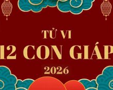 Tử vi 12 con giáp năm 2026 - Bính Ngọ