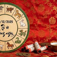 Tử vi 12 con giáp ngày 01/12/2025