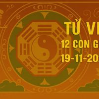 tu vi 12 con giap ngay 19 11 2025