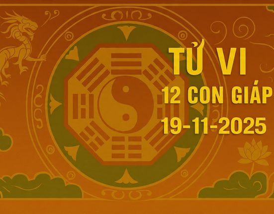 tu vi 12 con giap ngay 19 11 2025