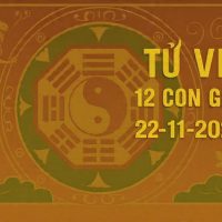 Tử vi 12 con giáp ngày 22/11/2025
