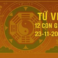 Tử vi 12 con giáp ngày 23/11/2025