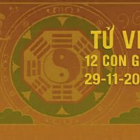 Tử vi 12 con giáp ngày 29/11/2025